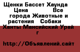 Щенки Бассет Хаунда  › Цена ­ 25 000 - Все города Животные и растения » Собаки   . Ханты-Мансийский,Урай г.